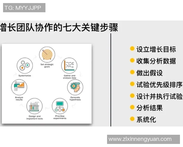 南京排球队战术创新与团队协作的深度解析与展望
