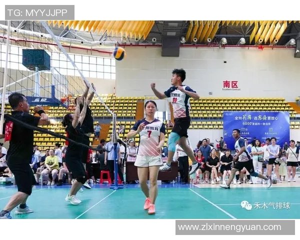 成都排球队整体压制打法解析与战术优势探讨