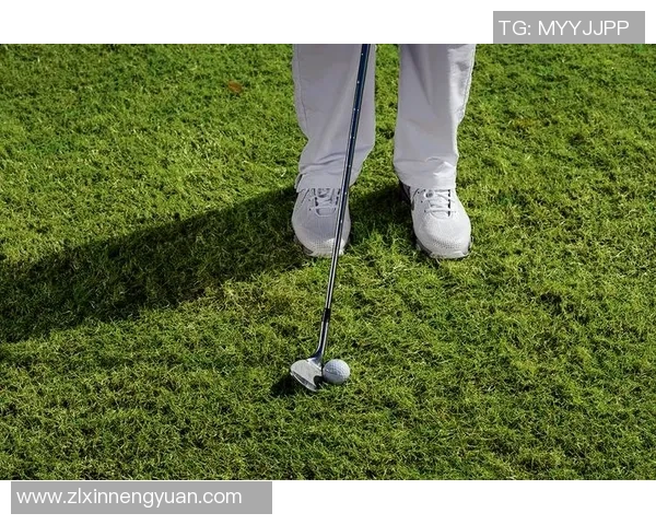 杨静独家揭秘网球技巧与心得分享助你提升球技的秘诀